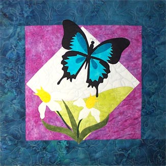 Blue Swallowtail Photo